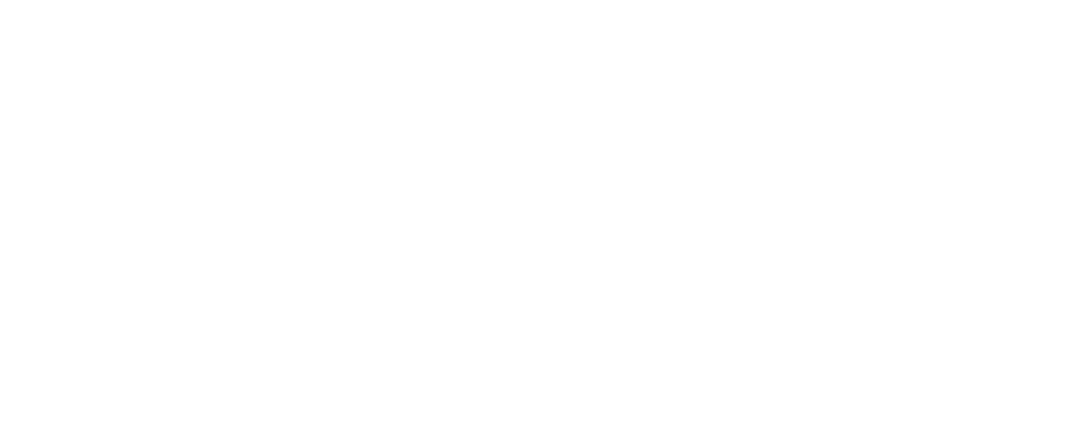 Panzi FM